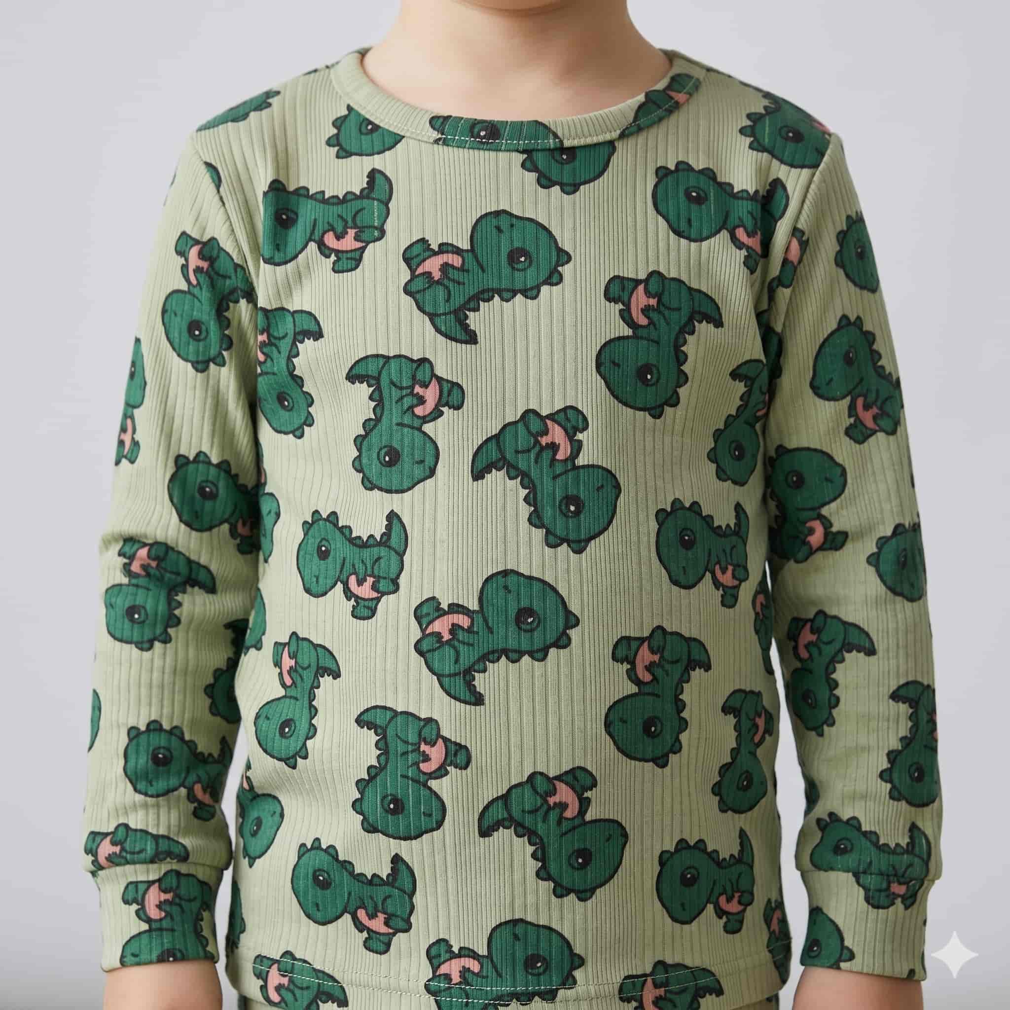 DinoSquad Boys Full Sleeves Pajama Set - Sage Green