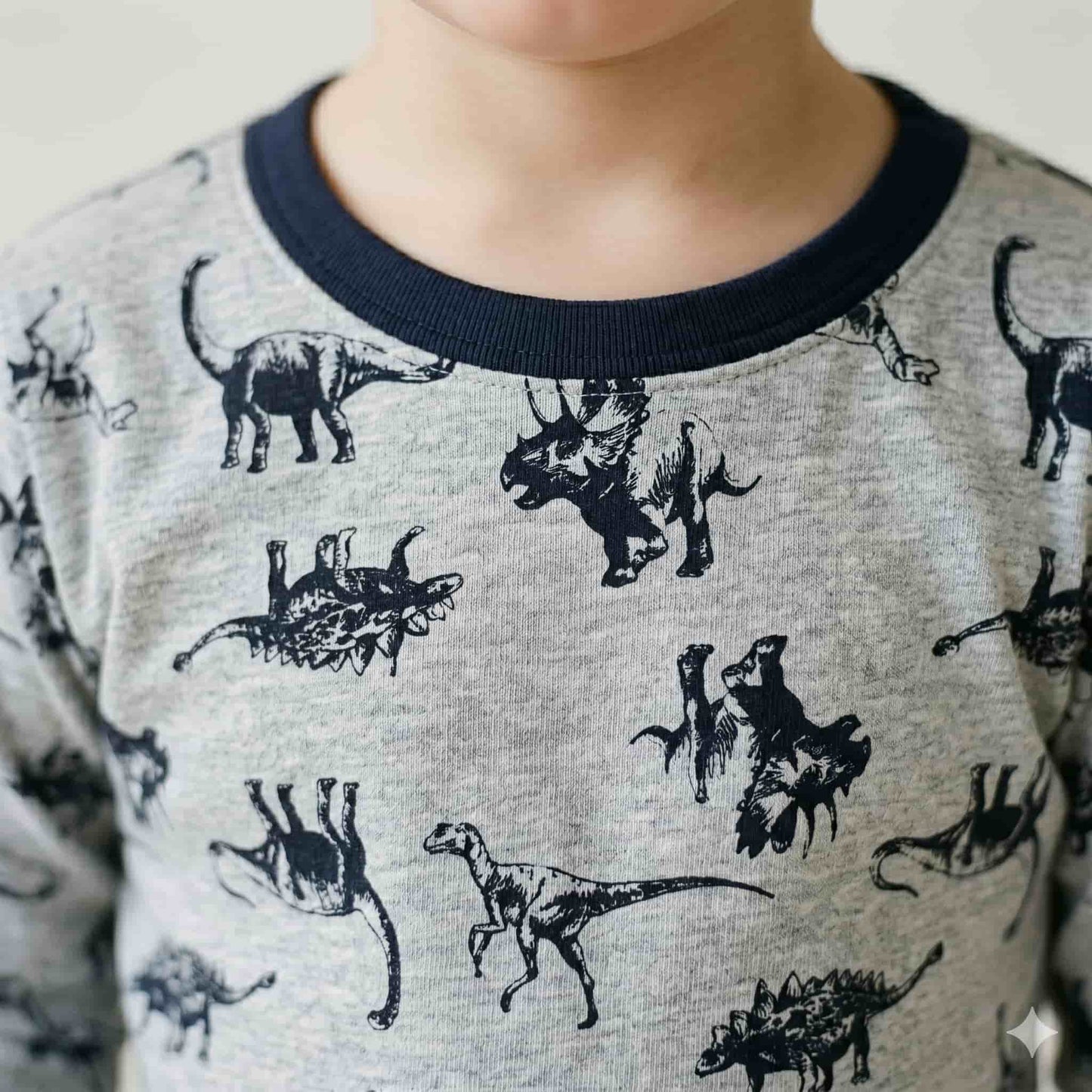 Jurassic Journey Boys Full Sleeves Pajama Set – Grey