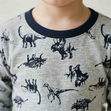 Jurassic Journey Boys Full Sleeves Pajama Set – Grey
