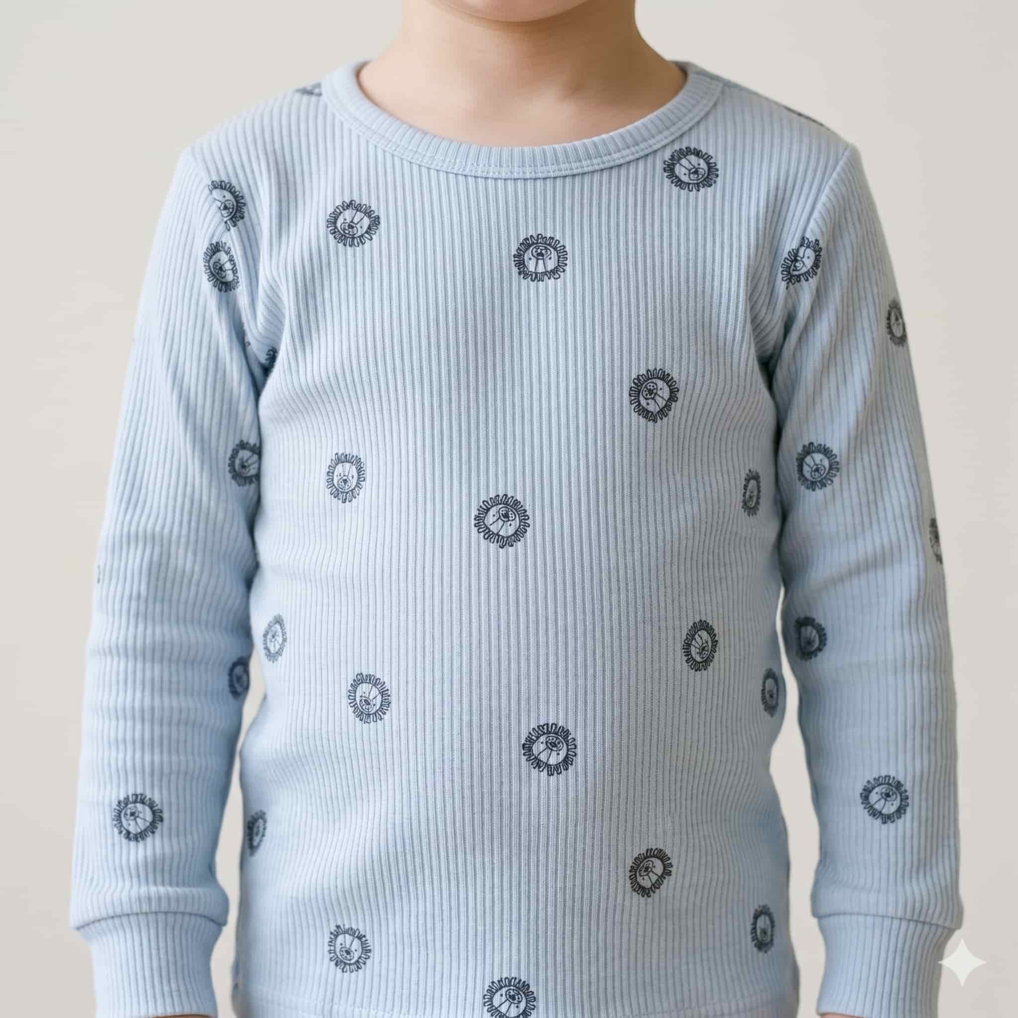 Lion Charm Boys Full Sleeves Pajama Set – Sky Blue