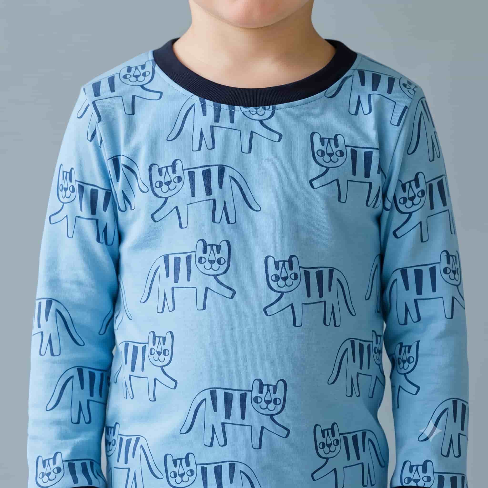 Playful Tiger Boys Full Sleeves Pajama Set - Sky Blue