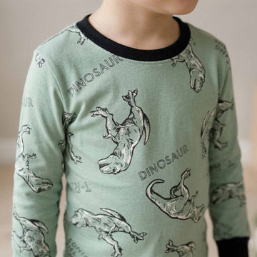 Dinosaur Boys Full Sleeves Pajama Set - Green