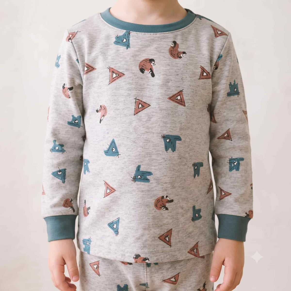 Quirky Critters Boys Full Sleeves Pajama Set - Grey