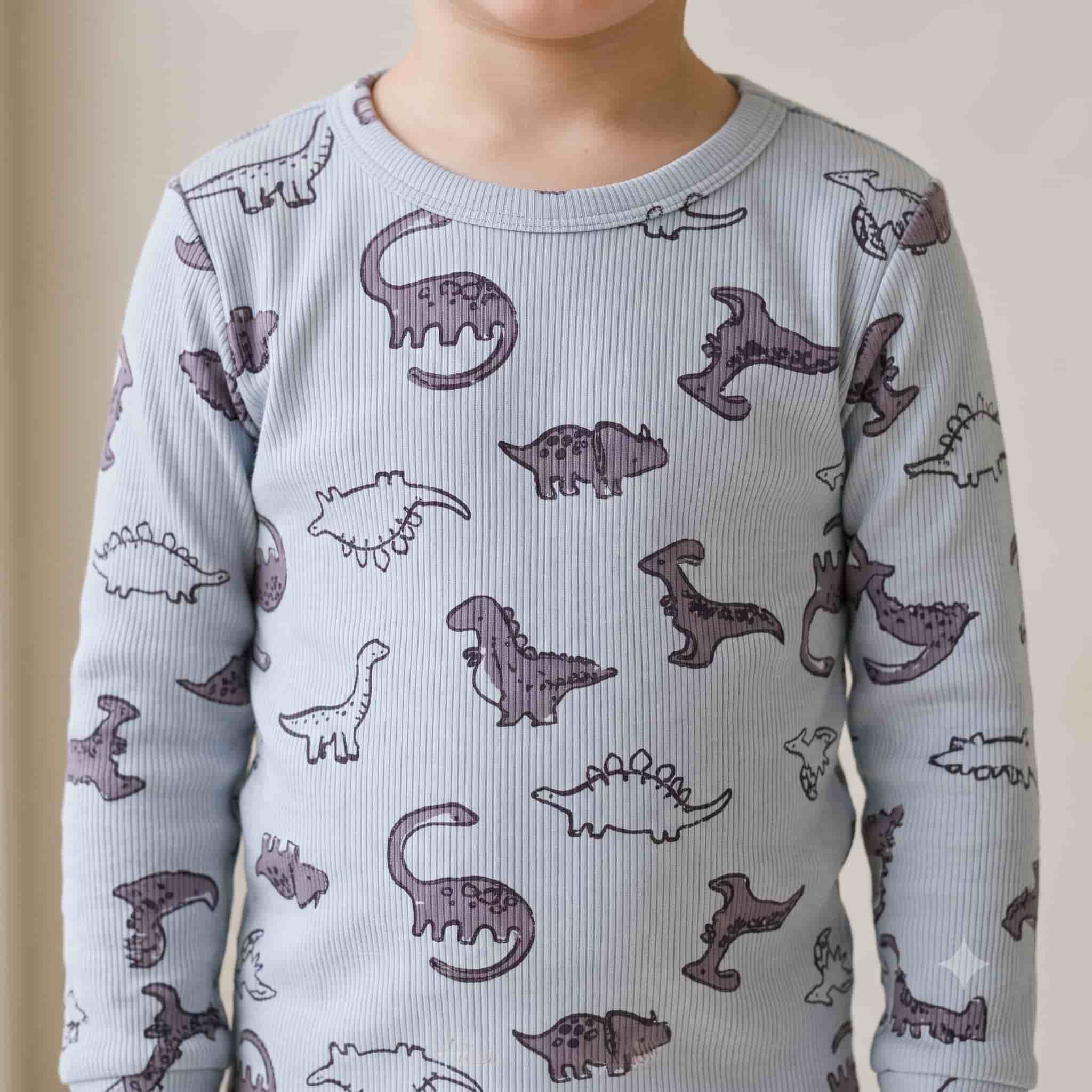 Dino Sketch Boys Full Sleeves Pajama Set - Light Blue