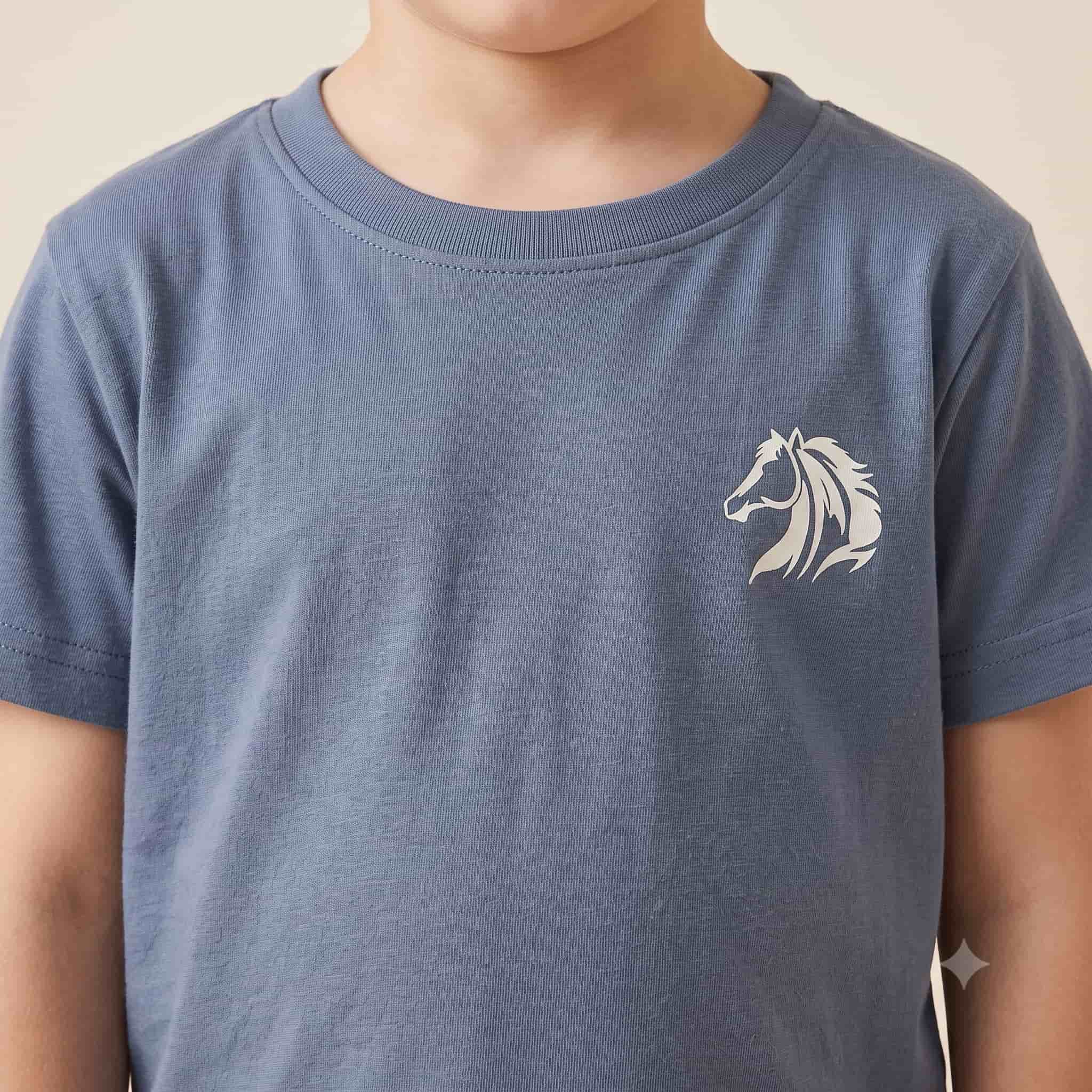 Royal Gallop Boys Half Sleeves Pajama Set – Steel Blue