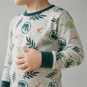 Jurassic Park Boys Full Sleeves Pajama Set - Grey
