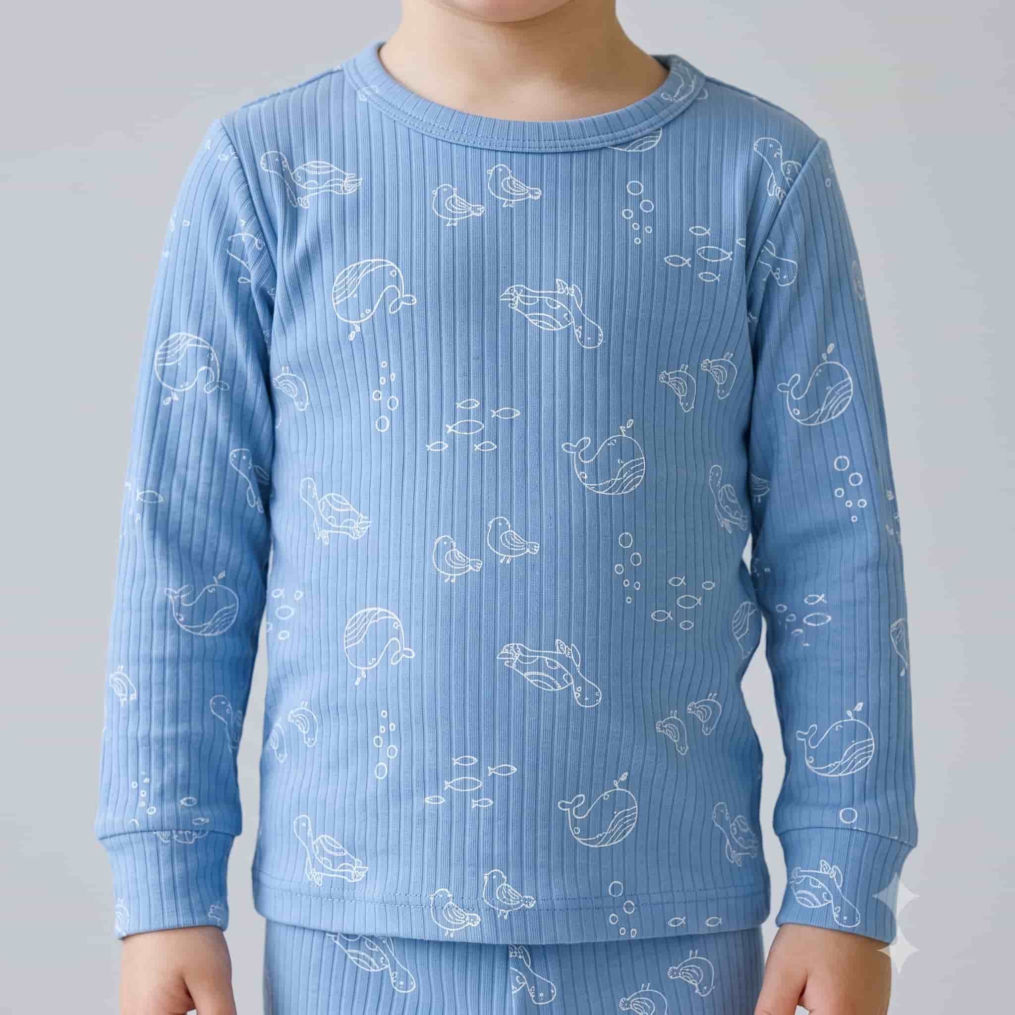 Ocean Wonders Boys Full Sleeves Pajama Set - Sky Blue