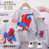 Disney Boys Short Sets Spiderman Boys Shorts Set - Grey