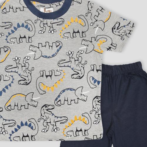 Royal Boys Short Sets Dinosaur Boys Shorts set - Grey