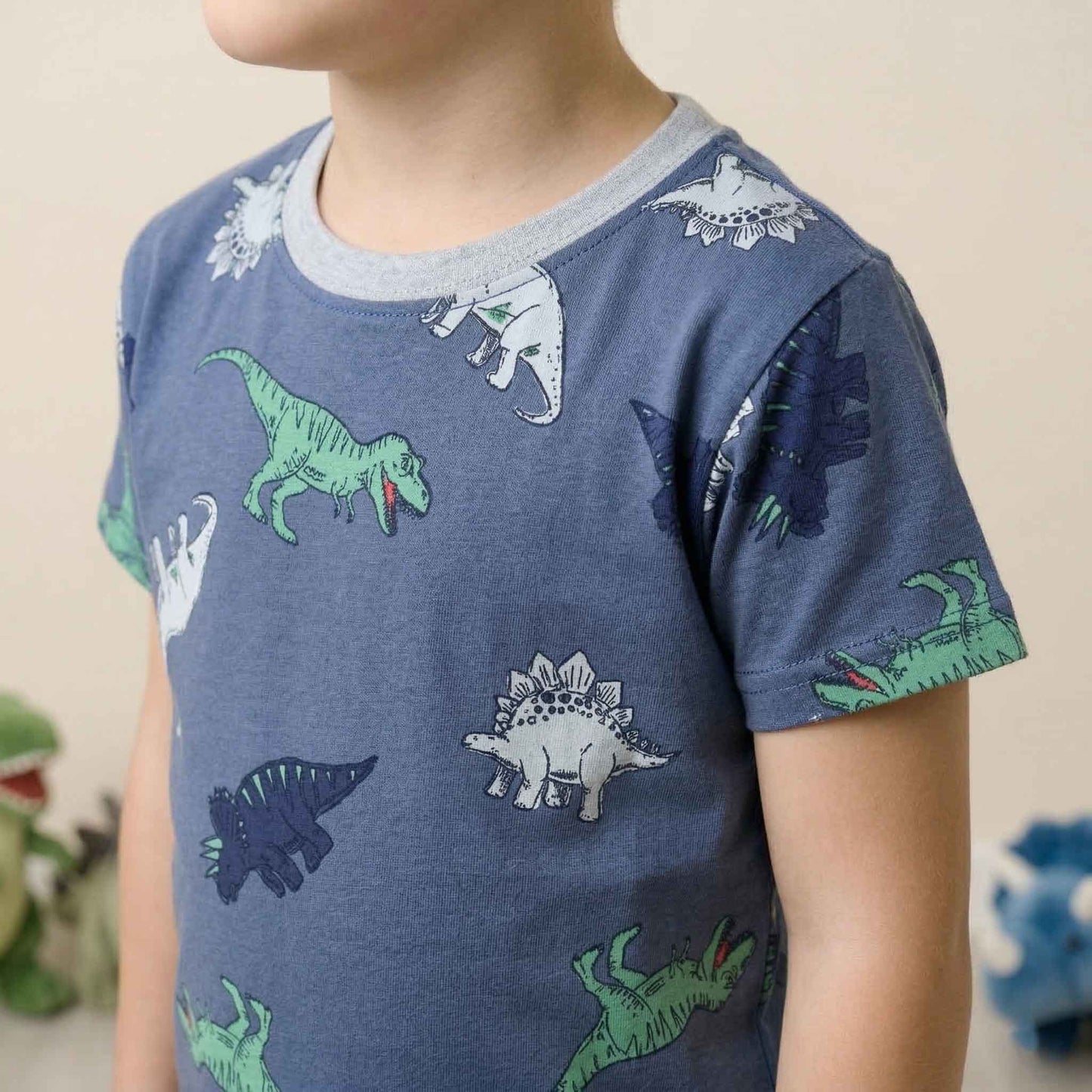 Dino Park Boys Half Sleeves Pajama Set - Blue