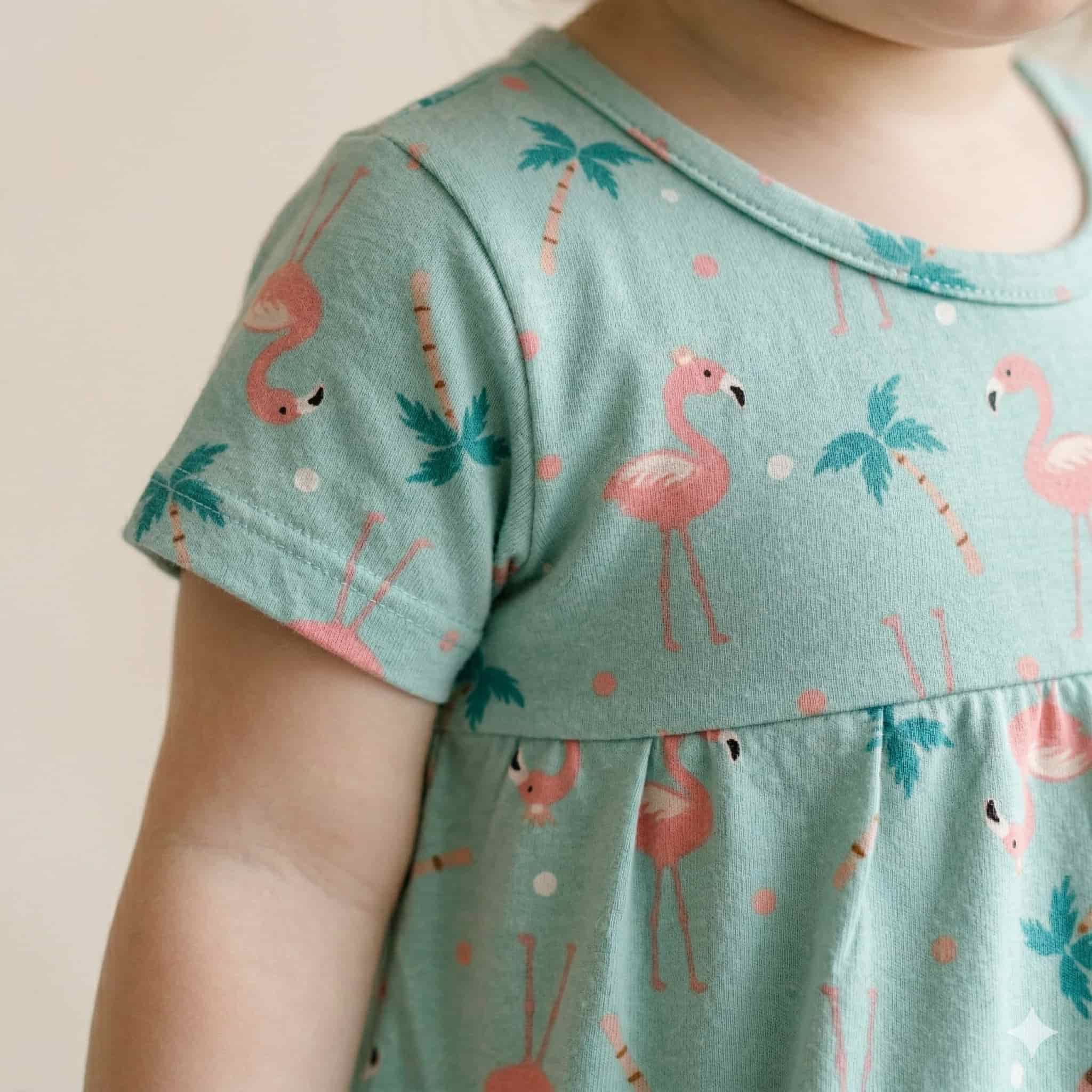Flamingo Baby Girl Frock - Blue