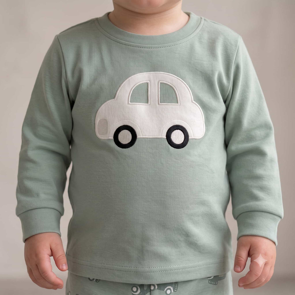 Tiny Wheels Baby Boys Full Sleeves Pajama Set – Sage Green