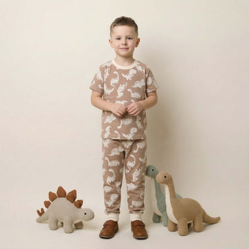 Dino World Boys Half Sleeves Pajama Set - Brown