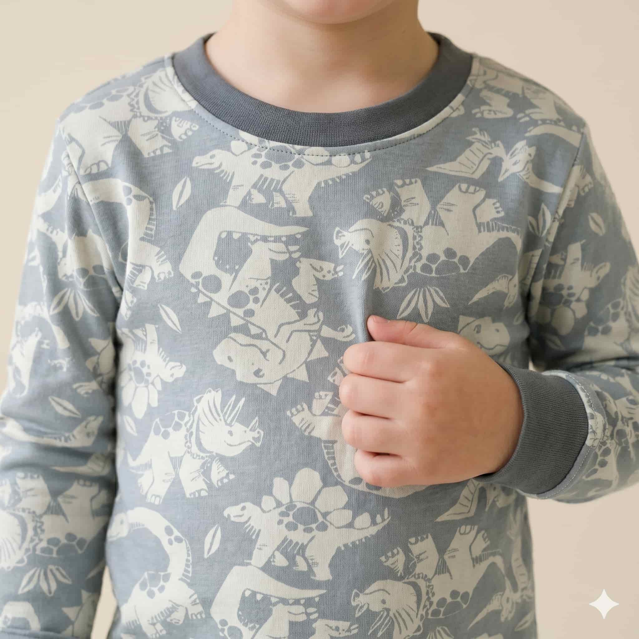 Dino Dreams Boys Full Sleeves Pajama Set – Grey