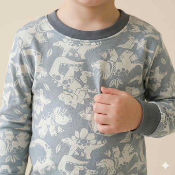 Dino Dreams Boys Full Sleeves Pajama Set – Grey