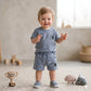 Smart Sport Baby boys Half sleeves Short set - Bue