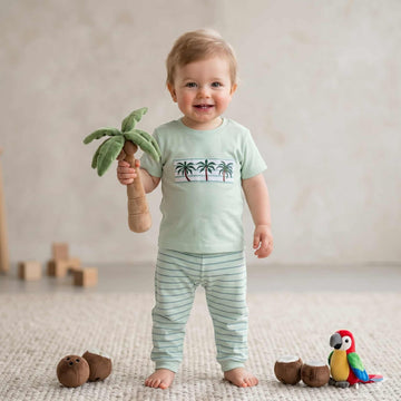 Breezy Palms Baby Boys Half Sleeves Set - Light Green