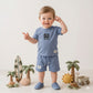 Surf Spirit Baby boys Half sleeves Short set - Blue