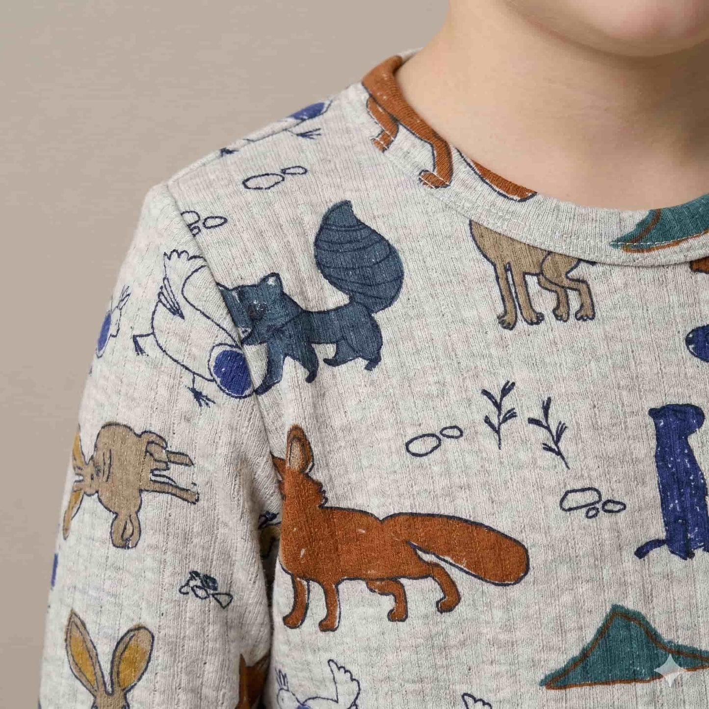 Forest Friends Boy Pajama Set- Grey